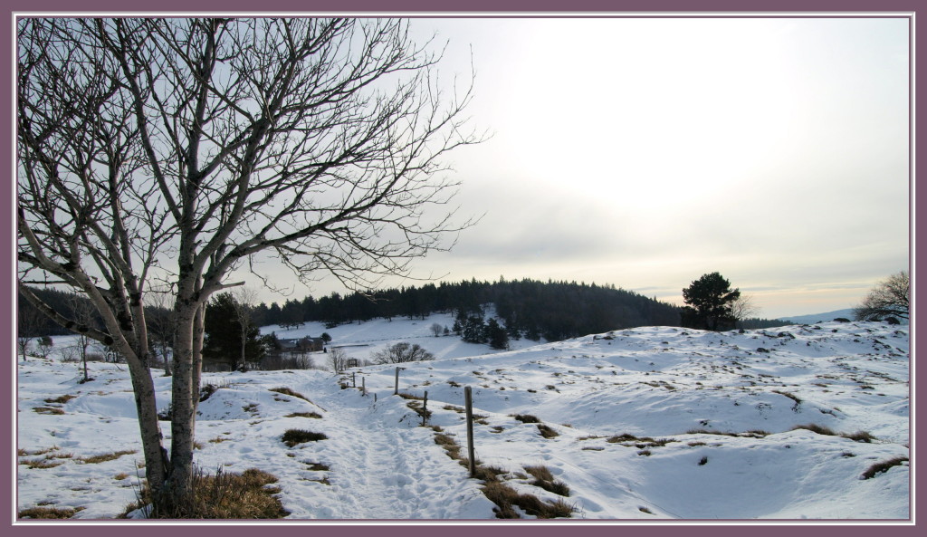 Soleil d'hiver au Glasborn