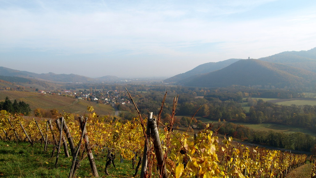 Val Saint Grégoire et Pflixbourg