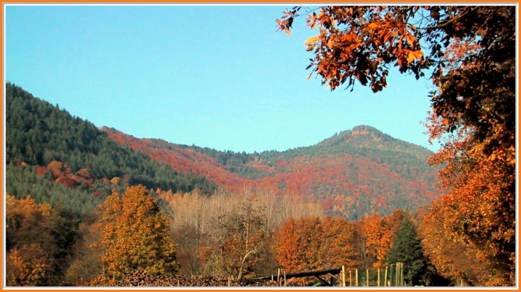 Le Grand Hohnack  en automne vu de Zimmerbach