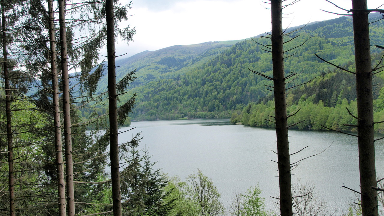 Lac de Kruth Wildenstein