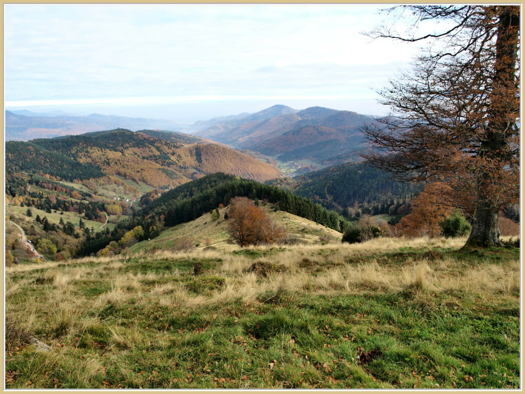 Près de Buchwald