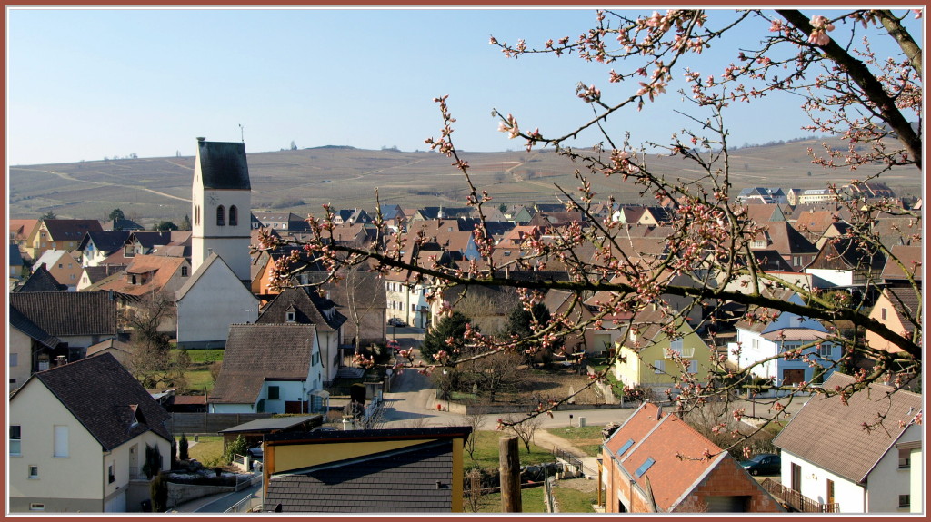 Mittelwihr vu du Mandelberg