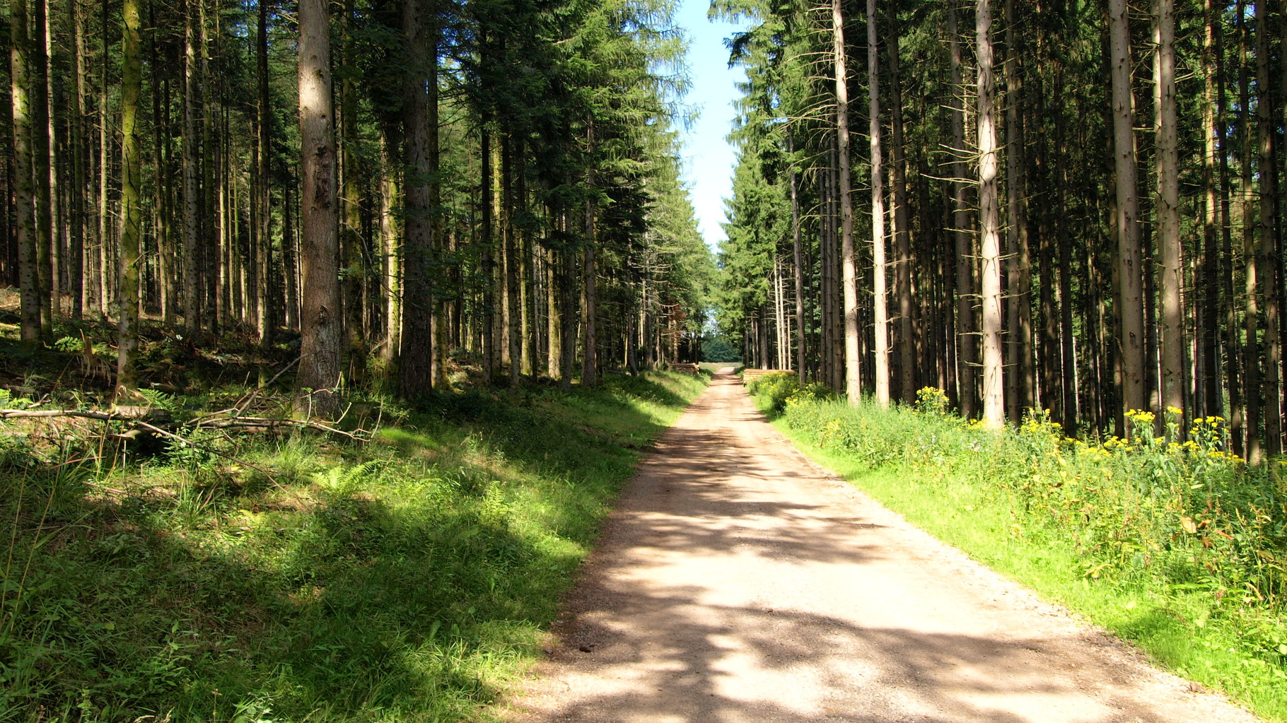 Vers l'abri des Trois Planchers