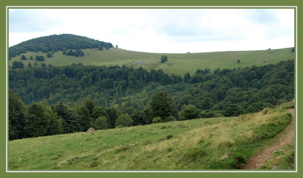 vers le Thannerhubel