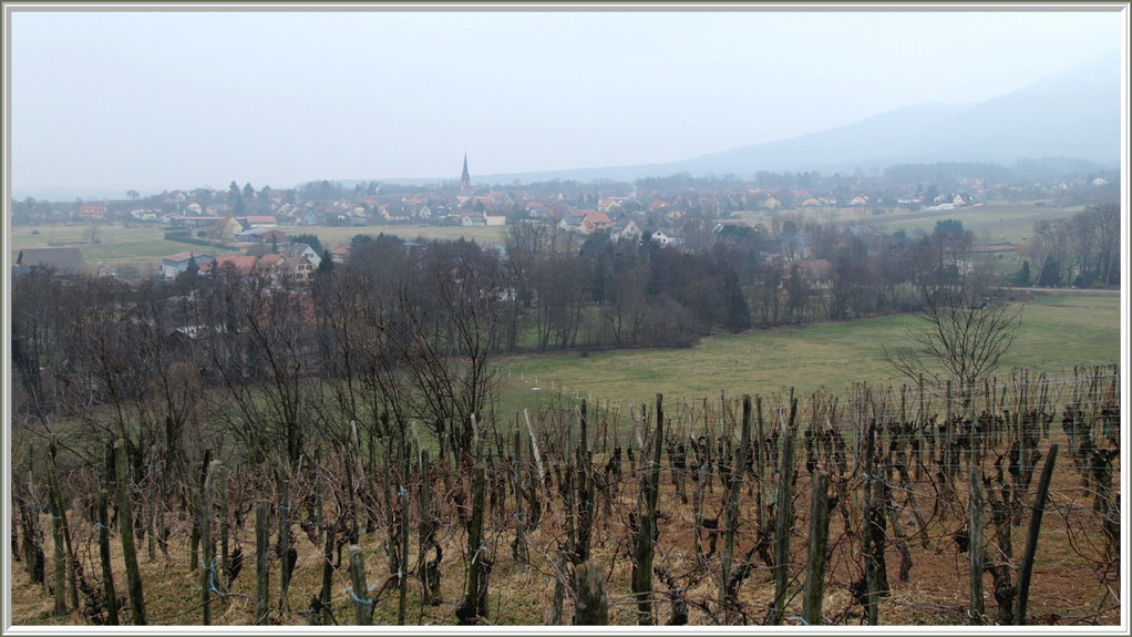 Mannberg, vue sur Wuenheim