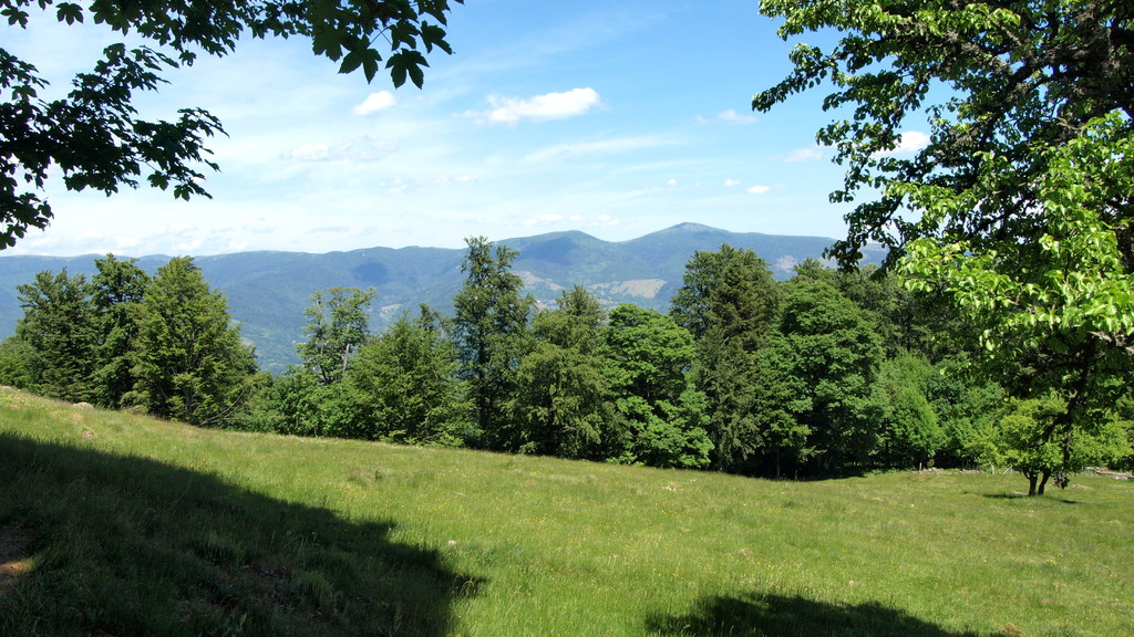 Grand Ballon