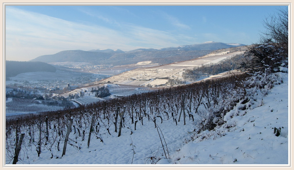 Neuland, Westhalten et Orschwihr au pied du Grand Ballon