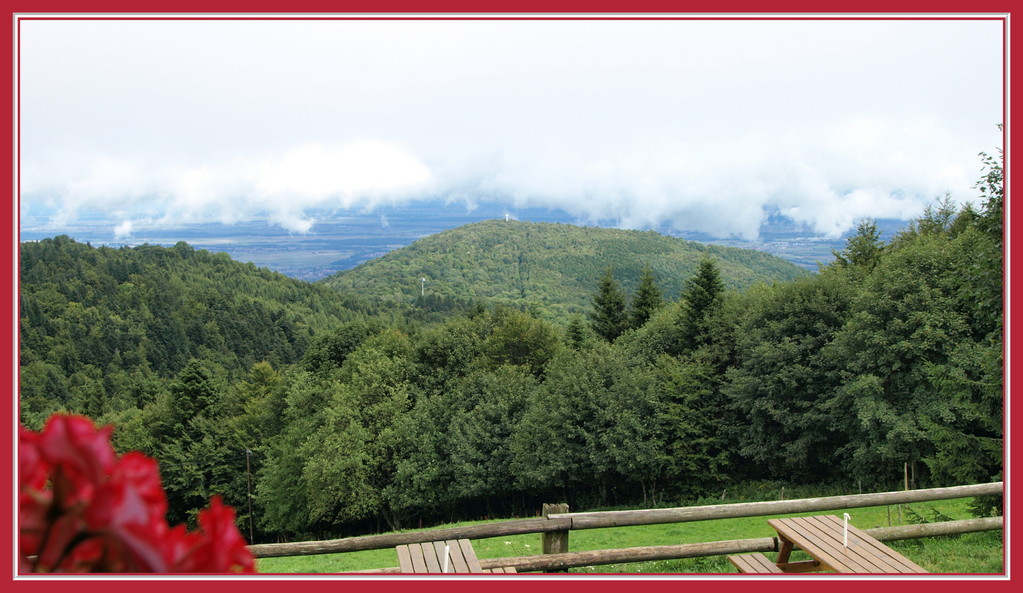 Vue sur le Hartmannswillerkopf