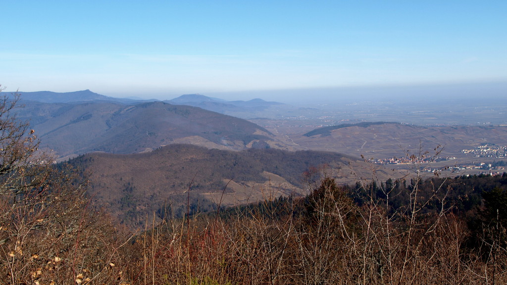 Vue sur Kientzheim et Sigolsheim