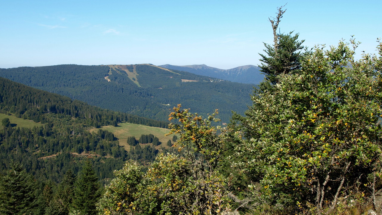 Schnepfenried Batteriekopf Rothenbachkopf Rainkopf