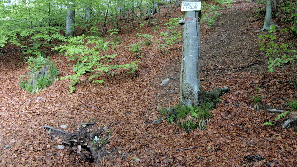 Source de l'Andlau