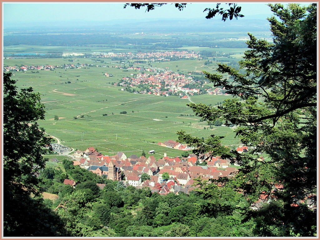 La vue sur Gueberschwihr