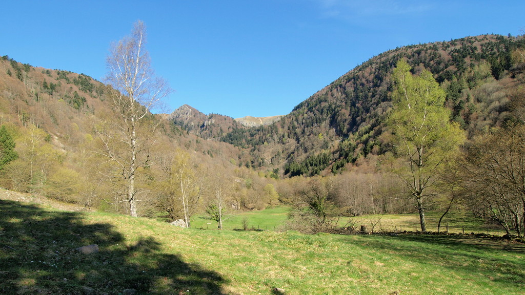 La vallée de la Wormsa