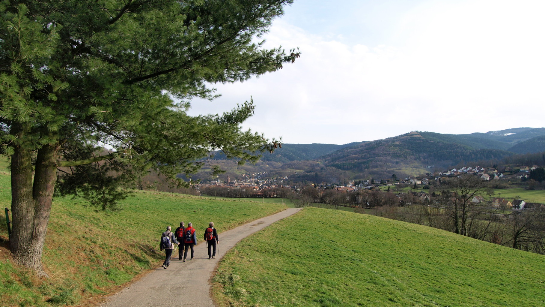 retour sur Munster par Langaeckerle