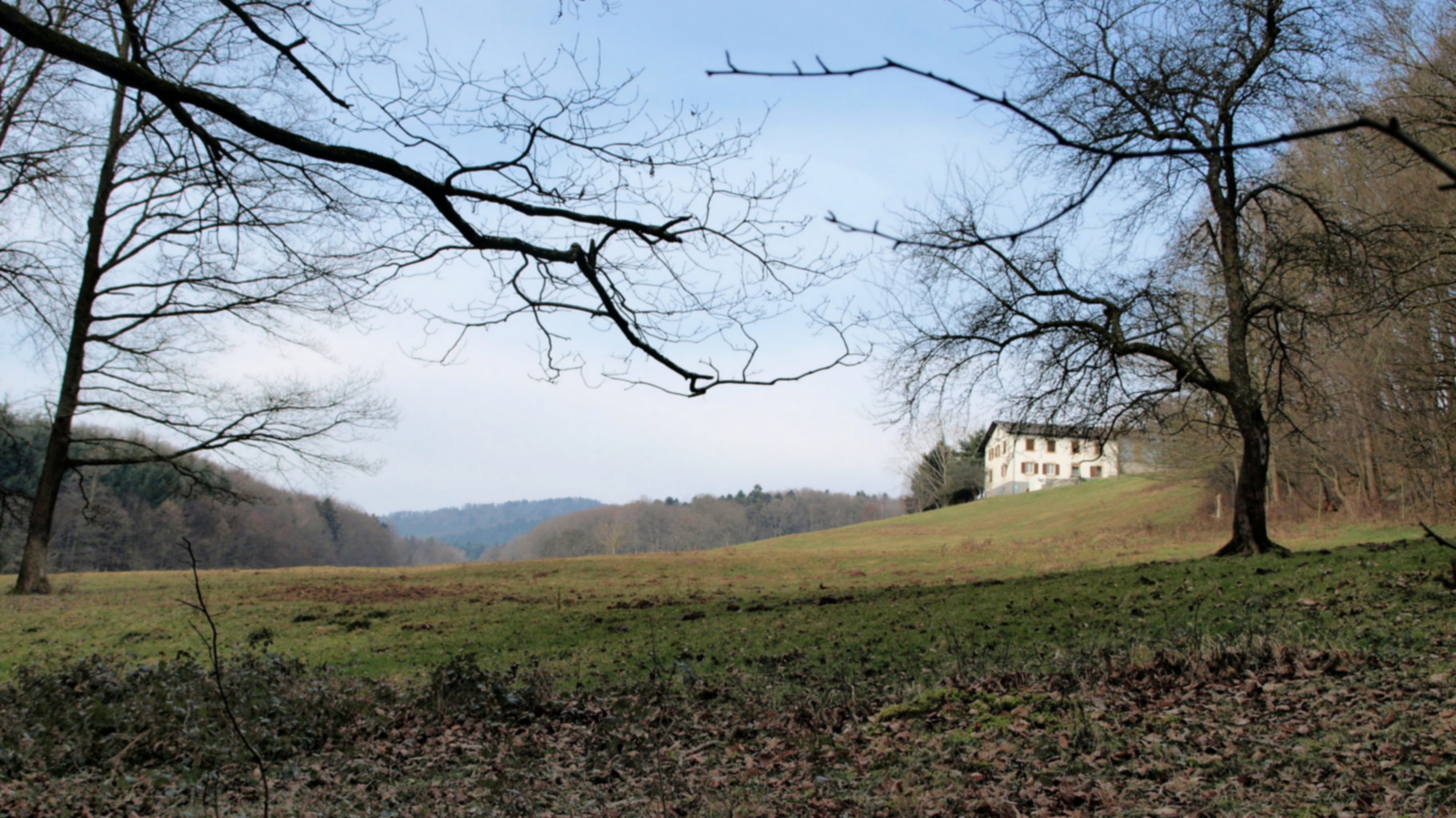 Langenberg