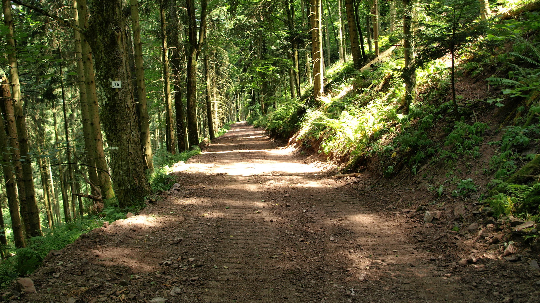 Chemin qui descend du Meyerhof