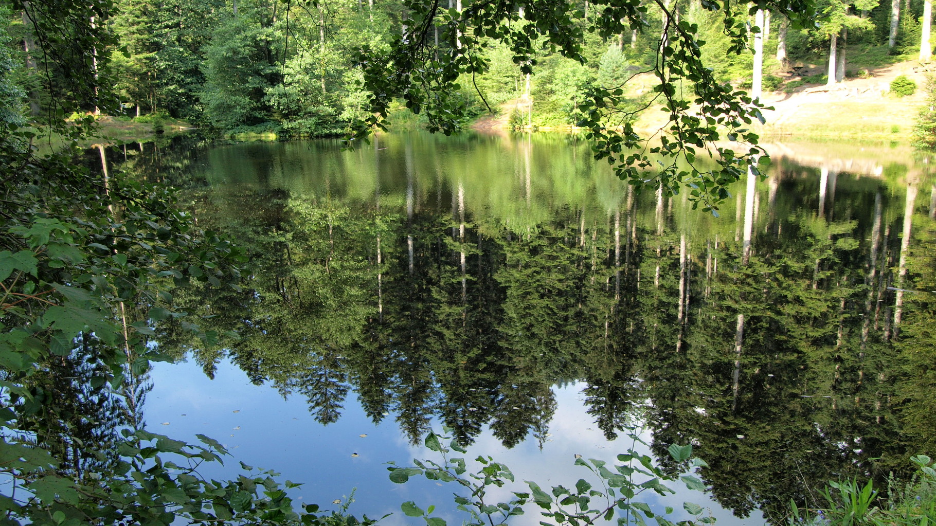 Etang du Coucou