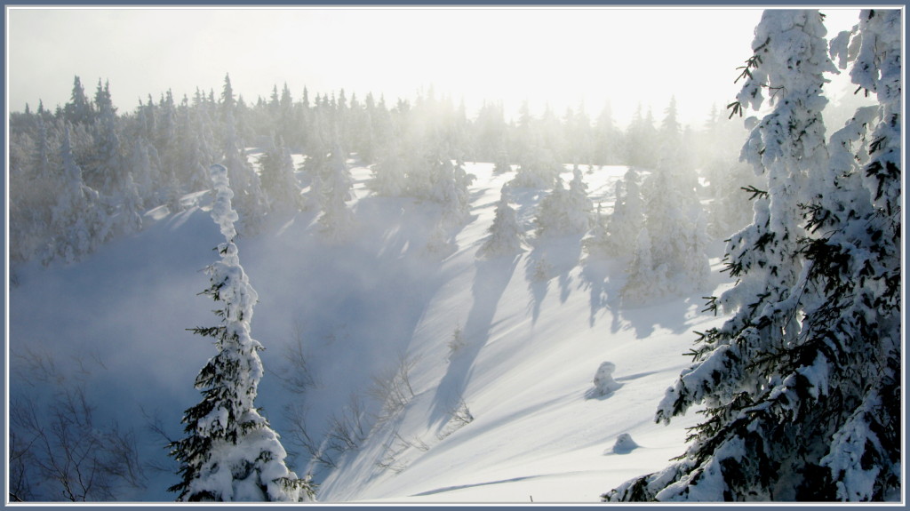 Quand le brouillard monte vers le sommet