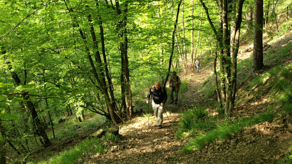 Montée au Stumpfenkopf