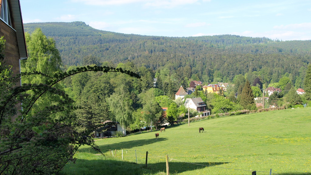 Witterthalhof