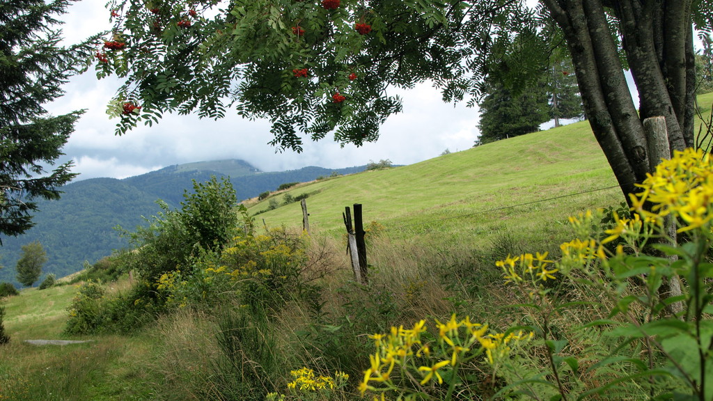 Vue sur le Treh