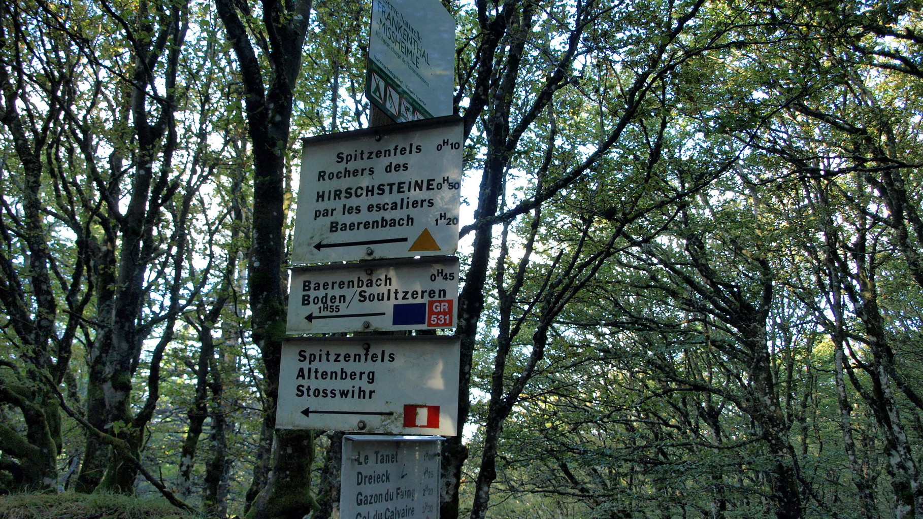 Prendre la direction Spitzenfels et Hirschsteine