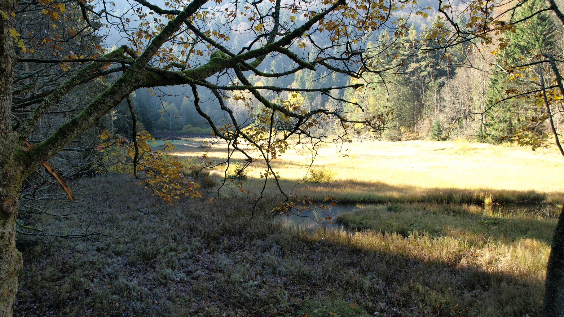 Etang du Devin