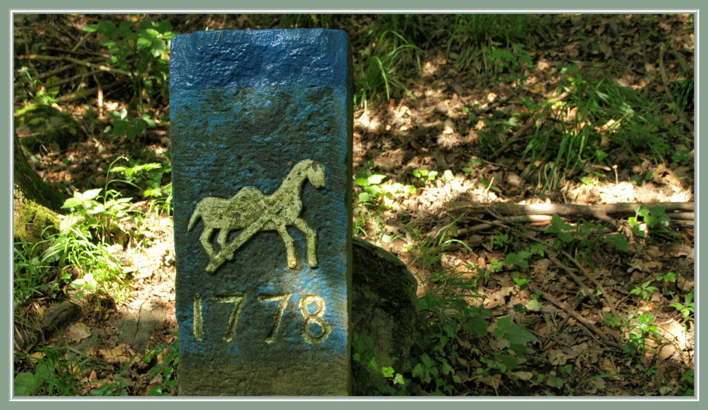 Sur le sentier des Chameaux