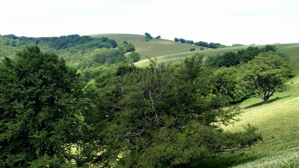 Massif du Rossberg