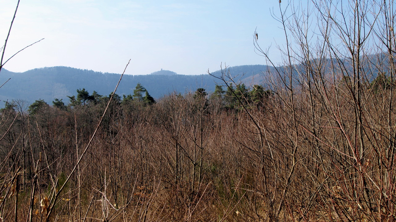 Vue sur le Haut Ribeaupierre