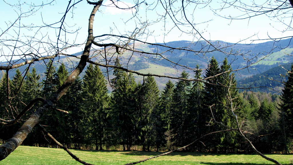 Le massif du Petit Ballon