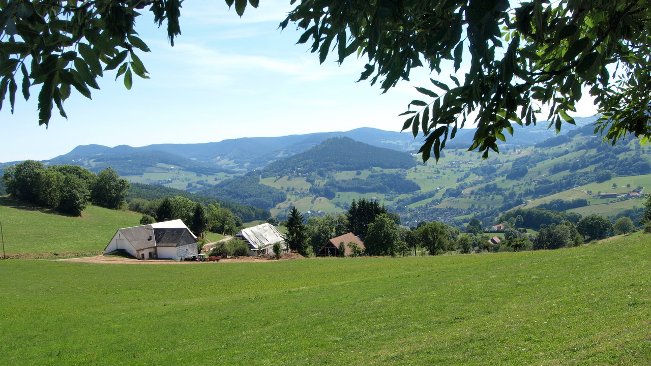 Vue sur le Val d'Orbey