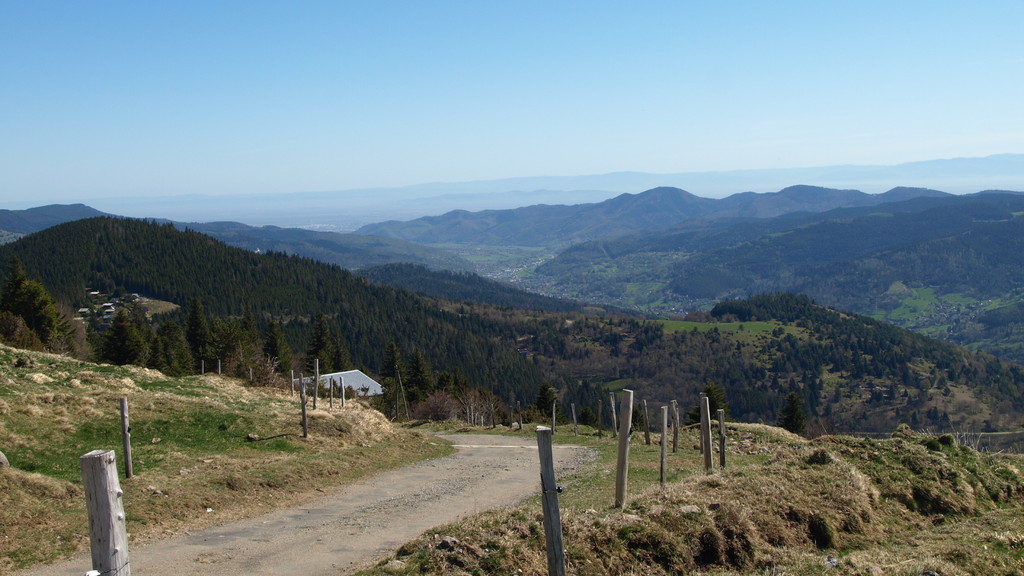 Descente sur le Gaschney