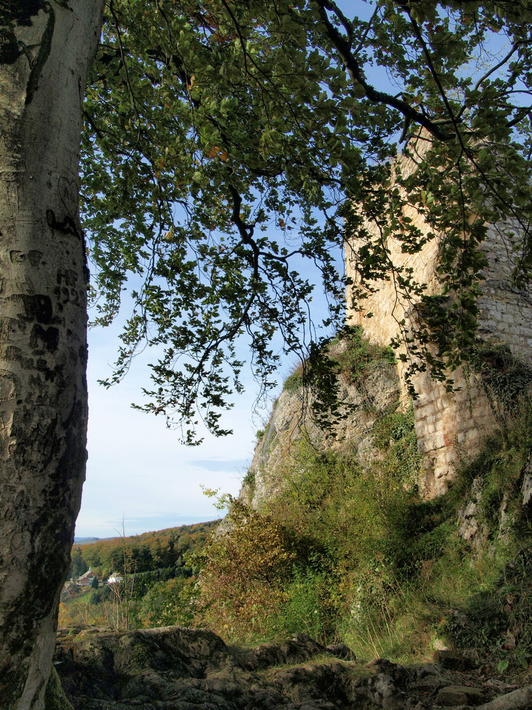 Château supérieur