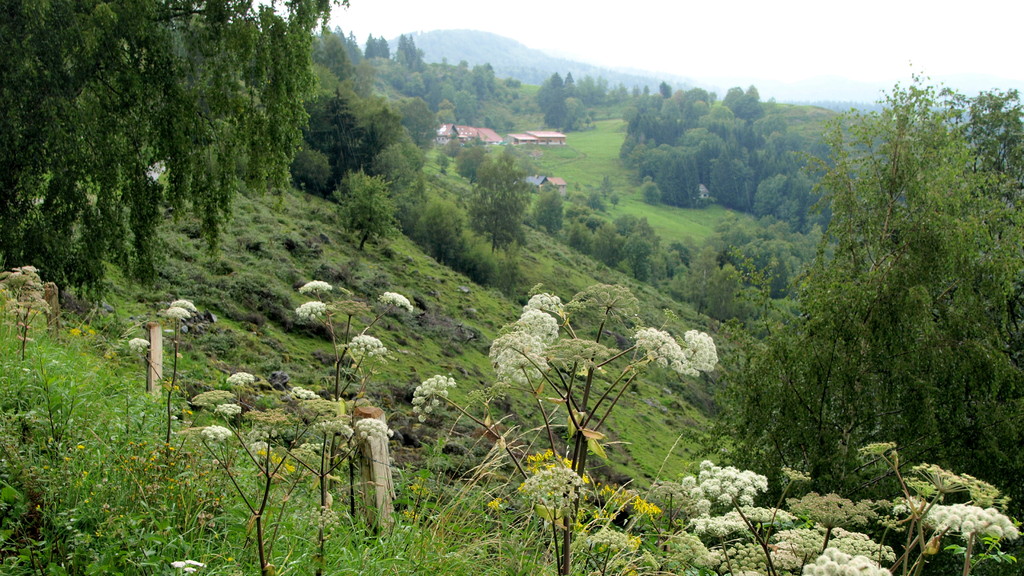 Ferme de Bergenbach