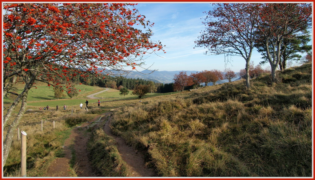 Vers le Wettstein en automne