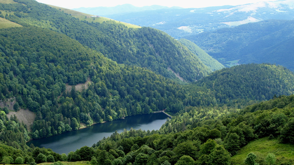 Altenweiher