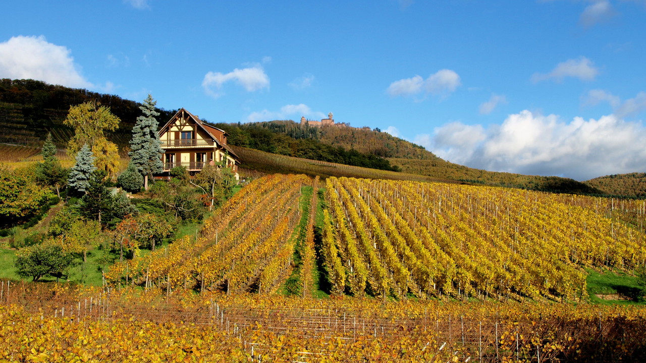 Haut-Koenigsbourg