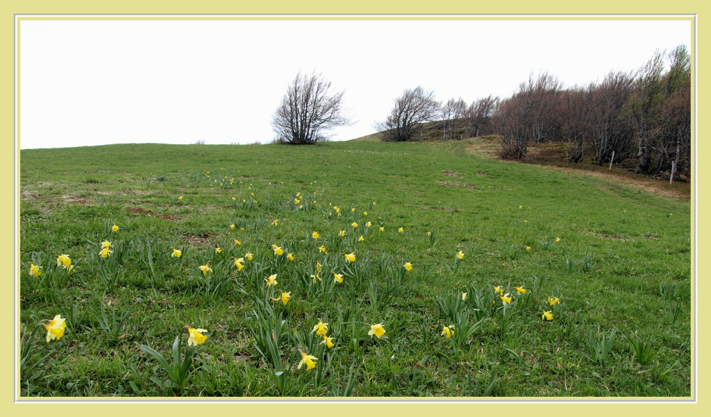 Au Lauchenkopf