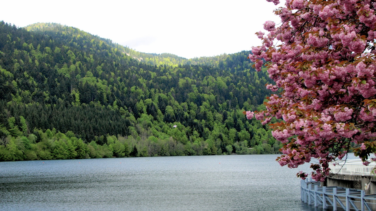 Lac de Kruth Wildenstein