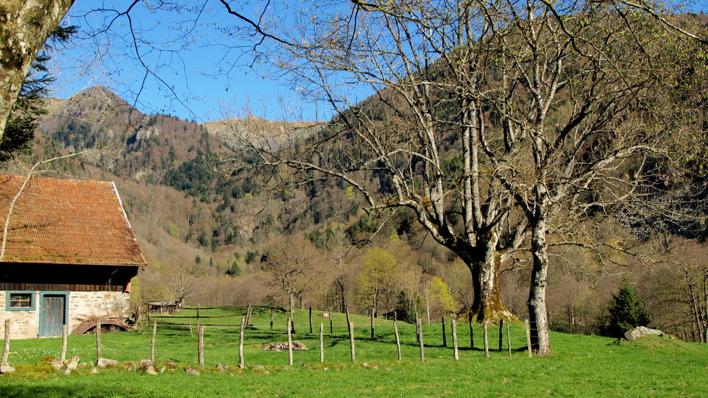 La vallée de la Wormsa