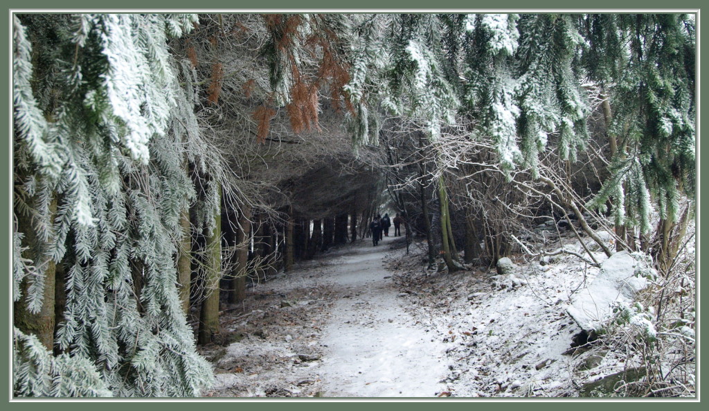 La Hohe Schwaerz en hiver