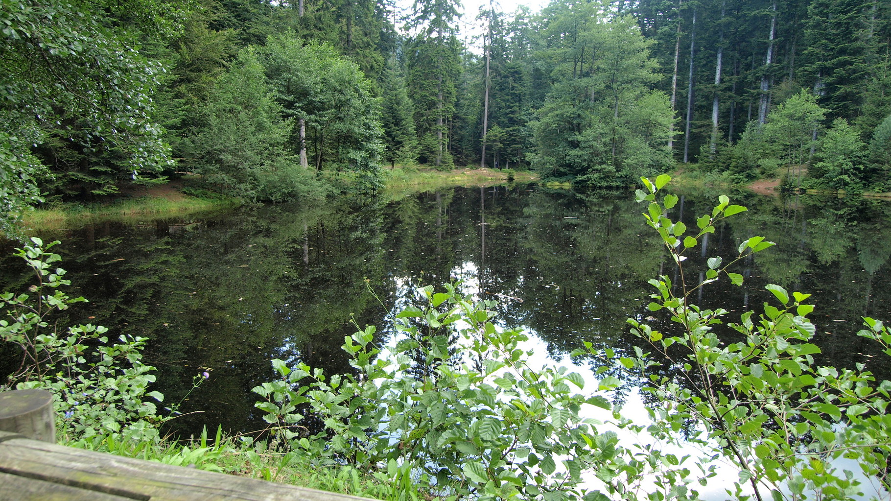 Etang du Coucou