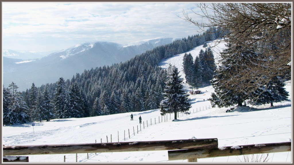 Vue du Schanzwasen en hiver