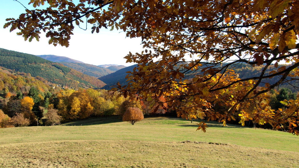 Couleurs d'automne à Labaroche