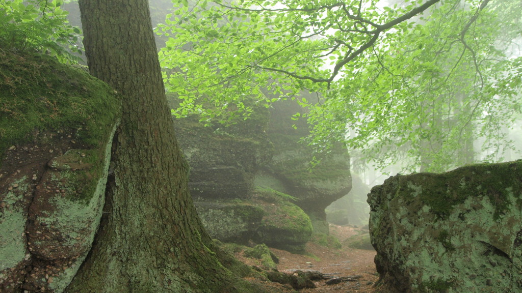 Le long du Mur Païen