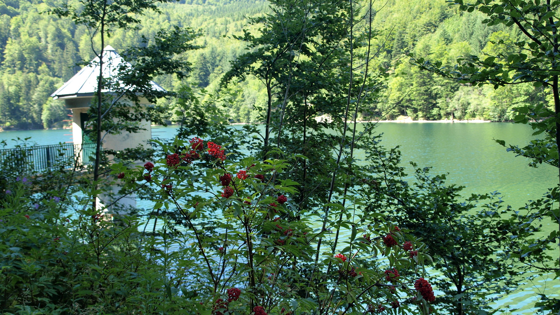 Lac du Ballon