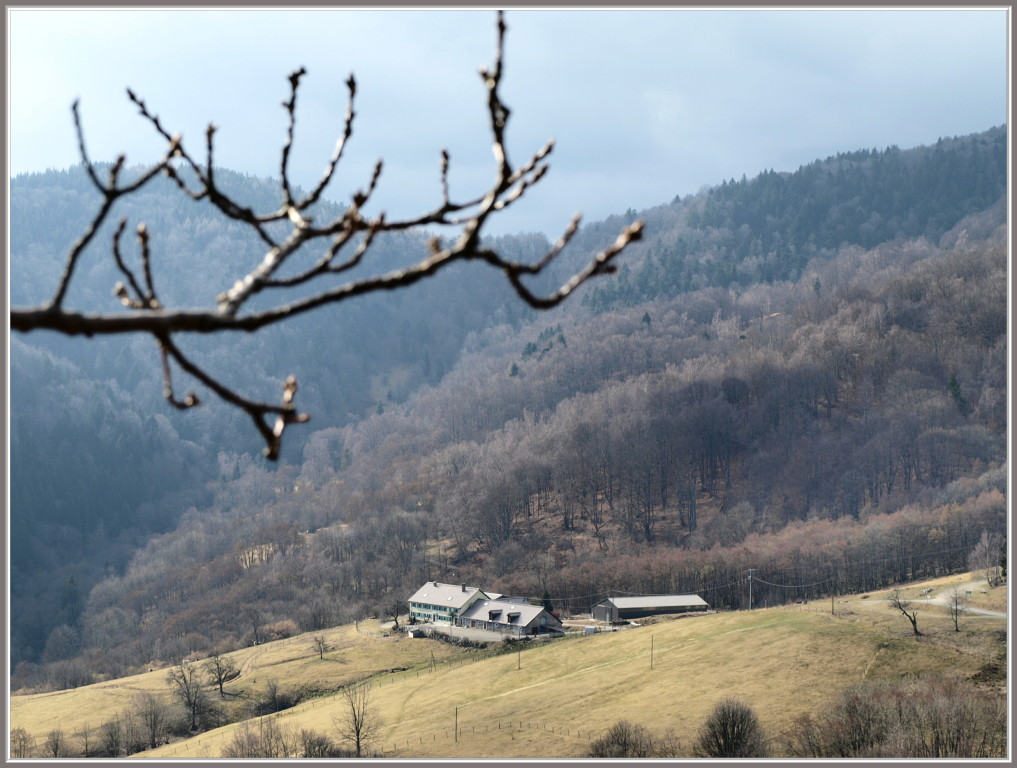 Ferme Auberge Glashütte