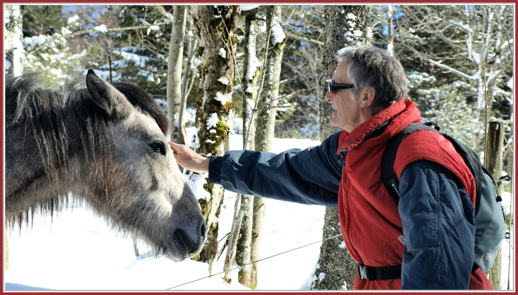 Une rencontre fortuite