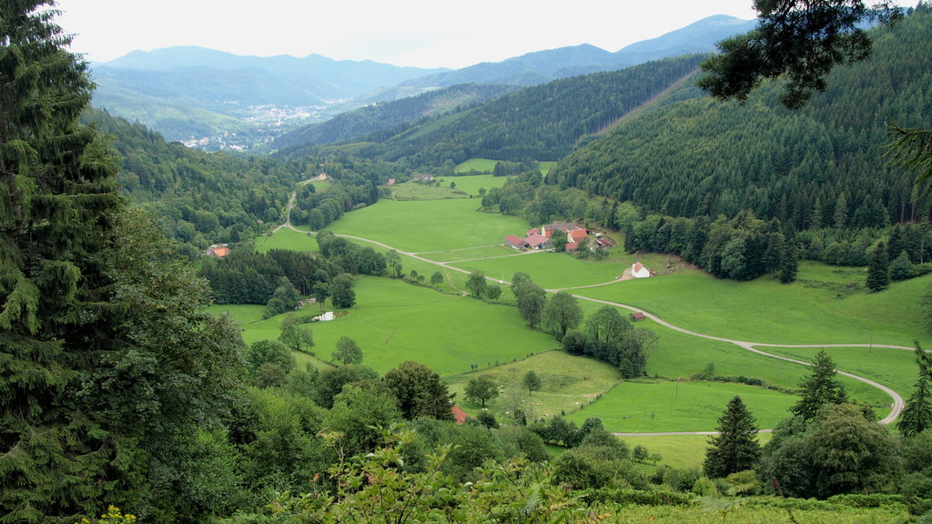 Vallon de Rammersbach